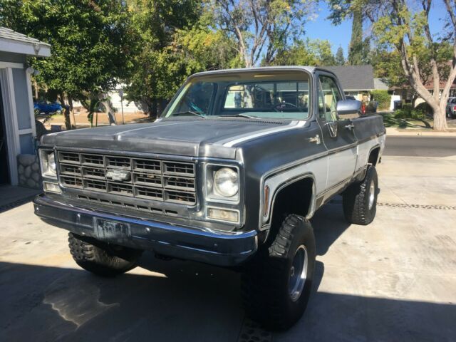 Chevrolet Silverado 1500 1979 image number 16