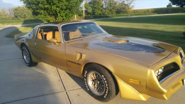 Pontiac Trans Am 1979 image number 3