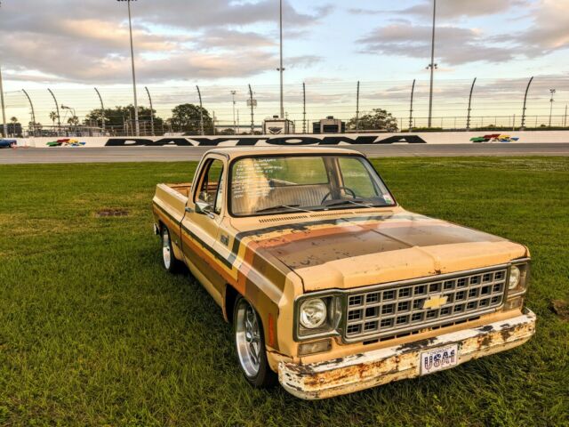 Chevrolet C-10 1978 image number 25