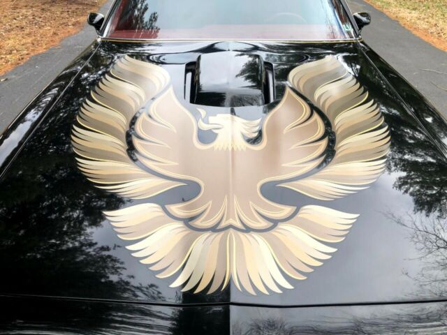 Pontiac Trans Am 1979 image number 28