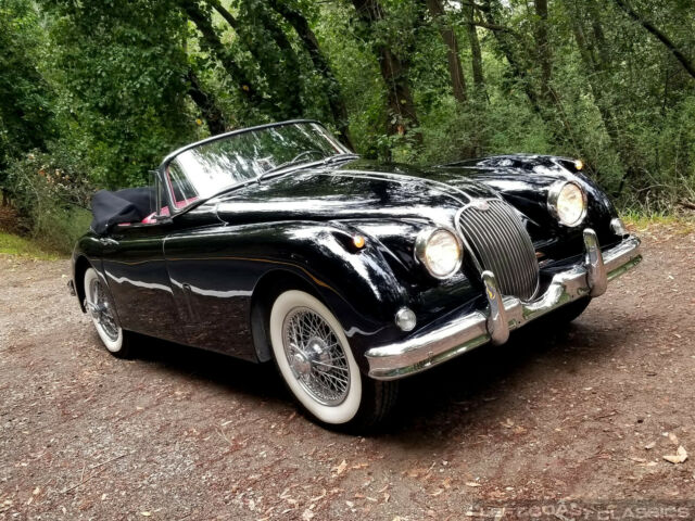 Jaguar XK 1961 image number 22