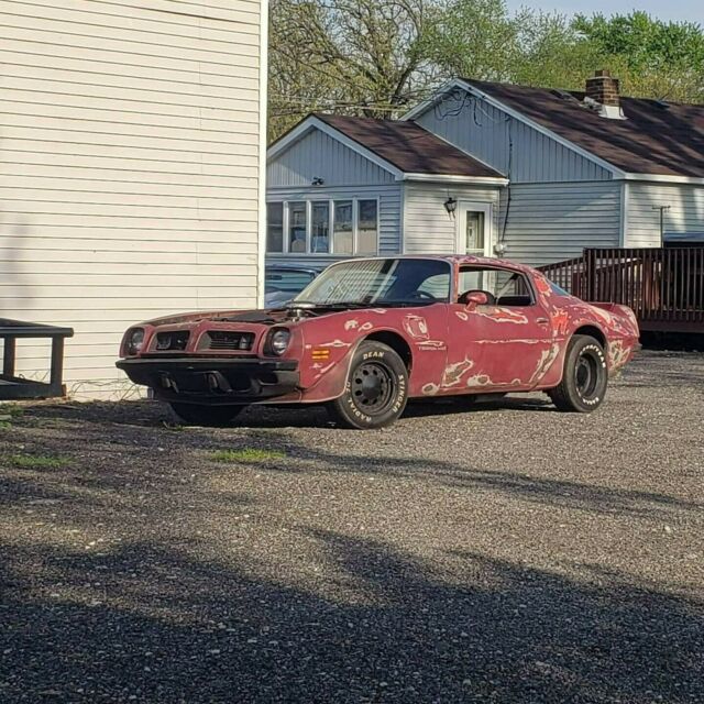 Pontiac Trans Am 1975 image number 0