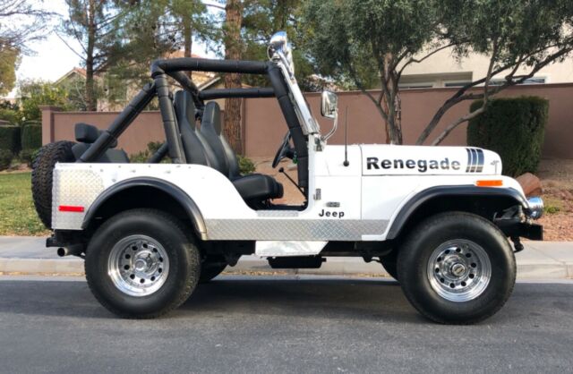 Jeep CJ 1976 image number 0