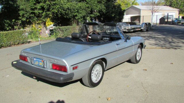 Alfa Romeo Spider 1978 image number 1