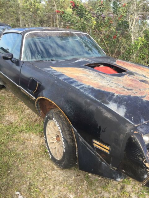 Pontiac Trans Am 1979 image number 0