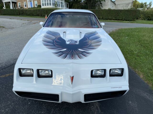 Pontiac Trans Am 1979 image number 26