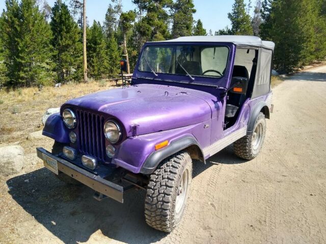 Jeep CJ 1976 image number 18