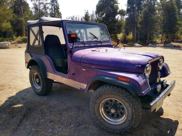 Jeep CJ 1976 image number 19