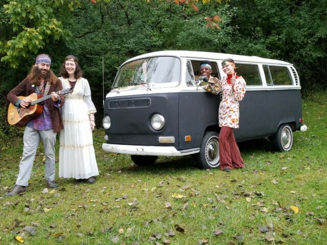 Volkswagen Bus/Vanagon 1971 image number 0