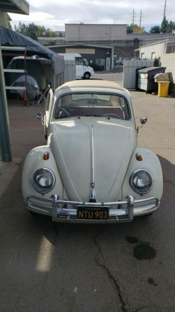 Volkswagen Beetle - Classic 1962 image number 27