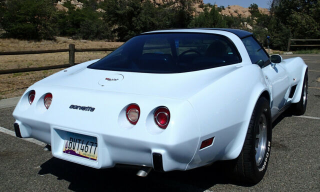 Chevrolet Corvette 1979 image number 14