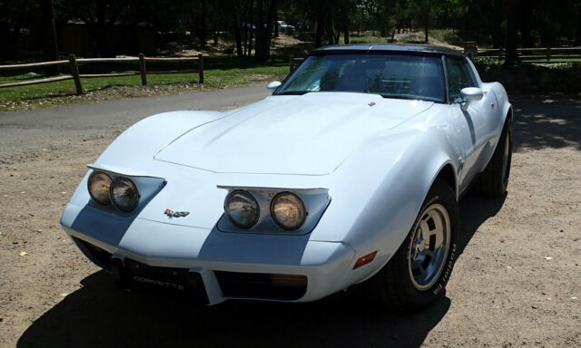 Chevrolet Corvette 1979 image number 17