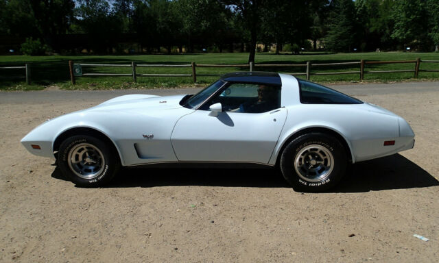 Chevrolet Corvette 1979 image number 19