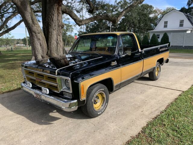 GMC Sierra Classic 1975 image number 18