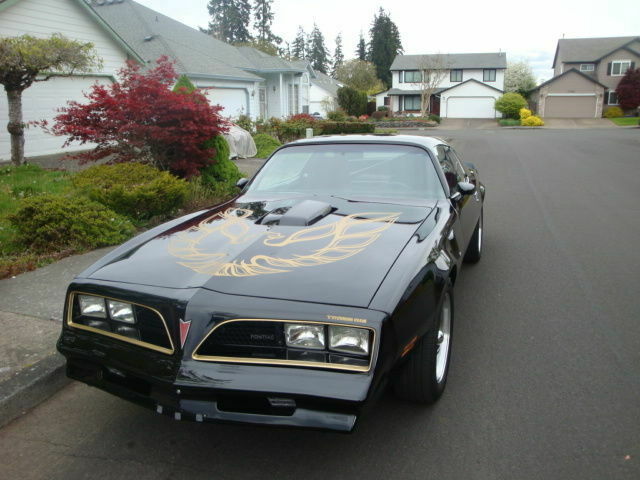 Pontiac Trans Am 1977 image number 3