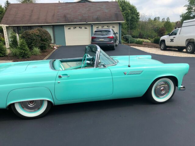 Ford Thunderbird 1955 image number 14