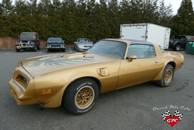 Pontiac Trans Am 1978 image number 10