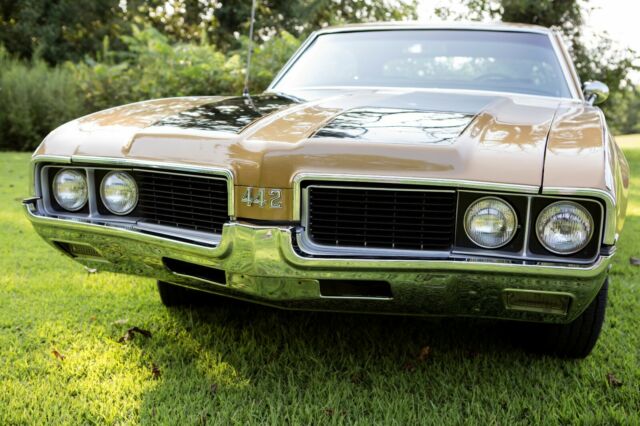 Oldsmobile 442 1969 image number 1