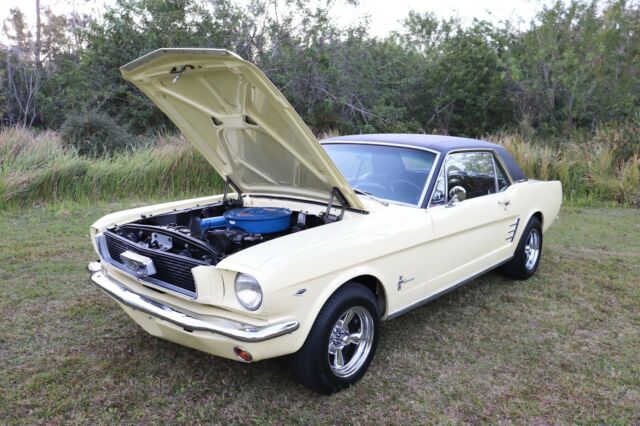 Ford Mustang 1966 image number 18