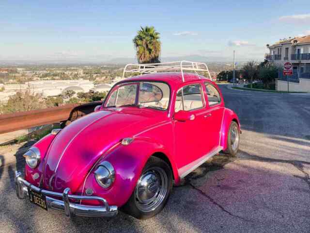 Volkswagen Beetle 1967 image number 16