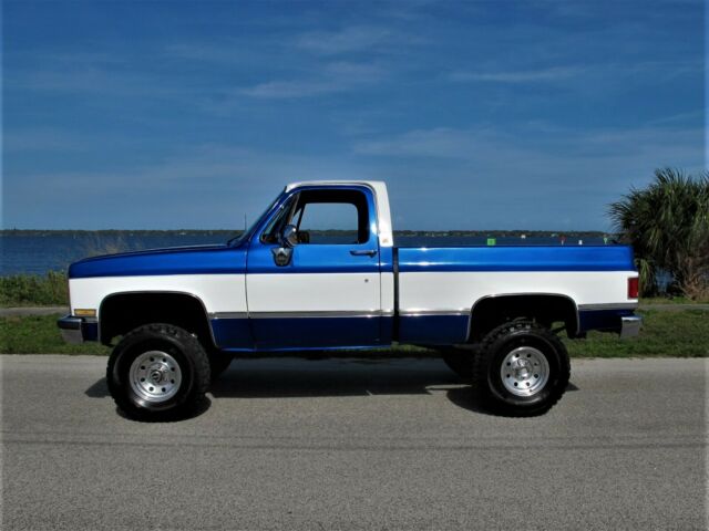 Chevrolet C/K Pickup 1500 1978 image number 2