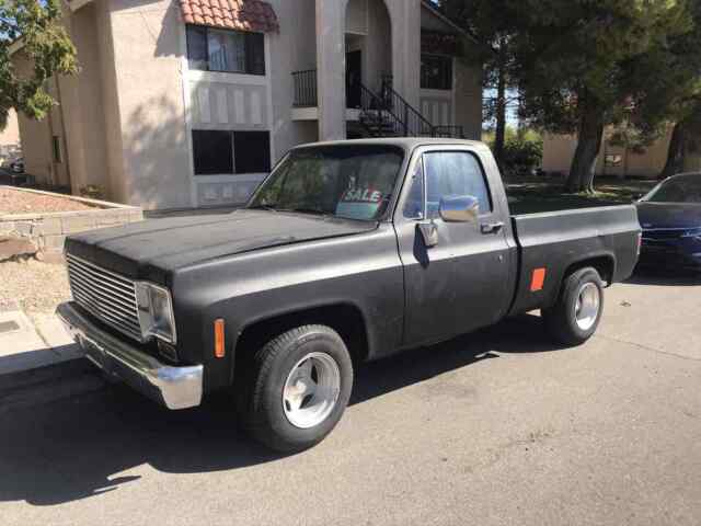 Chevrolet C10/K10 1976 image number 1