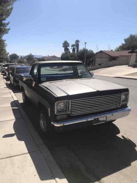 Chevrolet C10/K10 1976 image number 2