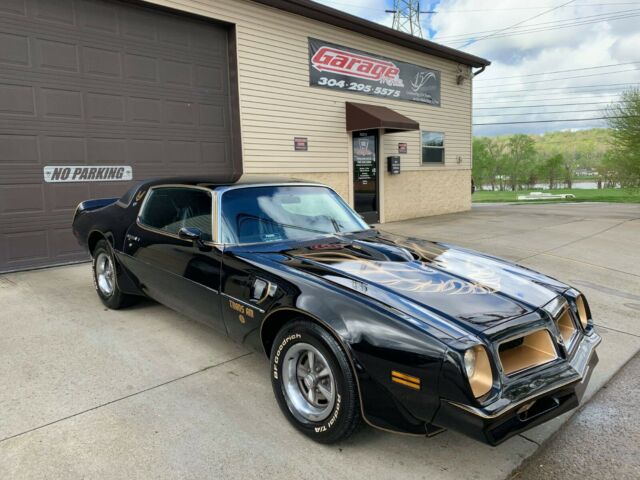 Pontiac Trans Am 1976 image number 0