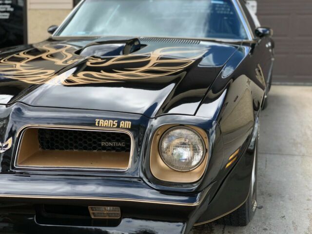 Pontiac Trans Am 1976 image number 11