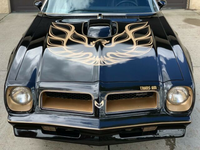 Pontiac Trans Am 1976 image number 17