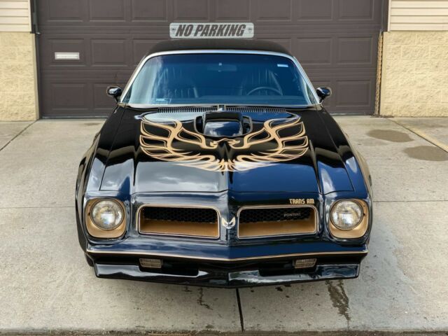 Pontiac Trans Am 1976 image number 8