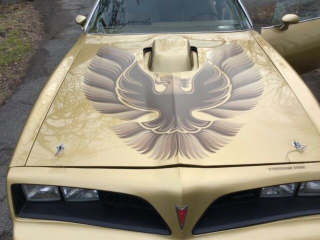 Pontiac Trans Am 1978 image number 21