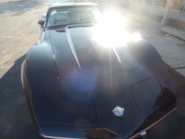 Chevrolet Corvette 1978 image number 27