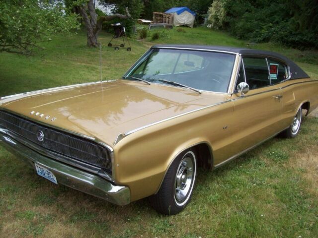 Dodge Charger 1967 image number 20