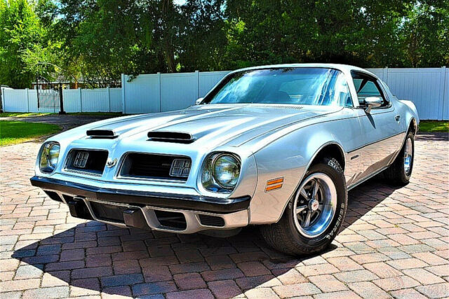 Pontiac Firebird 1975 image number 0