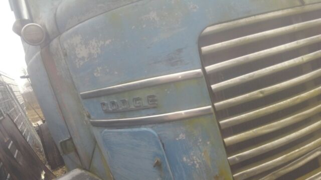 Dodge COE 1947 image number 12