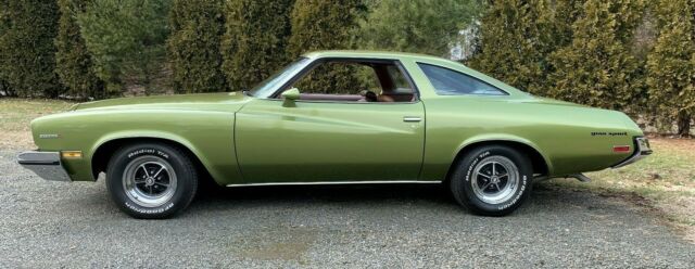 Buick Century Gran Sport Stage 1 1973 image number 0