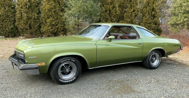 Buick Century Gran Sport Stage 1 1973 image number 30