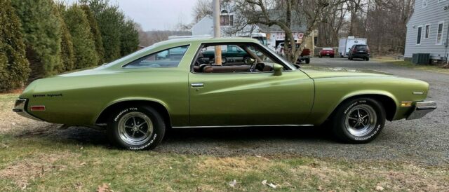 Buick Century Gran Sport Stage 1 1973 image number 32