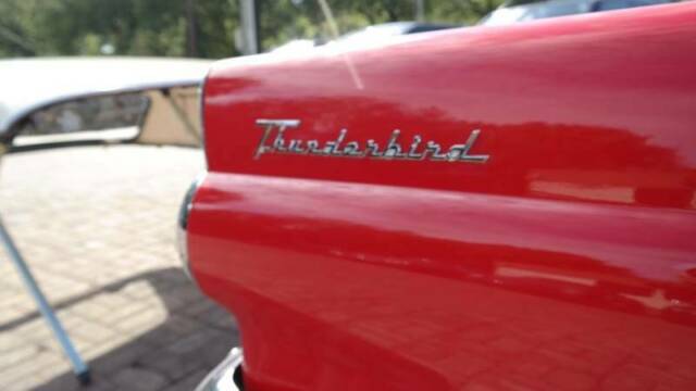 Ford Thunderbird 1955 image number 14