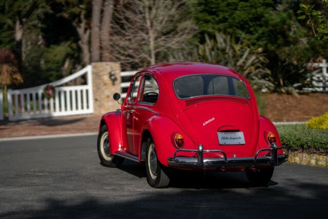 Volkswagen Beetle - Classic 1966 image number 15