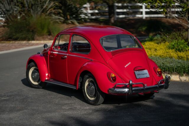 Volkswagen Beetle - Classic 1966 image number 16