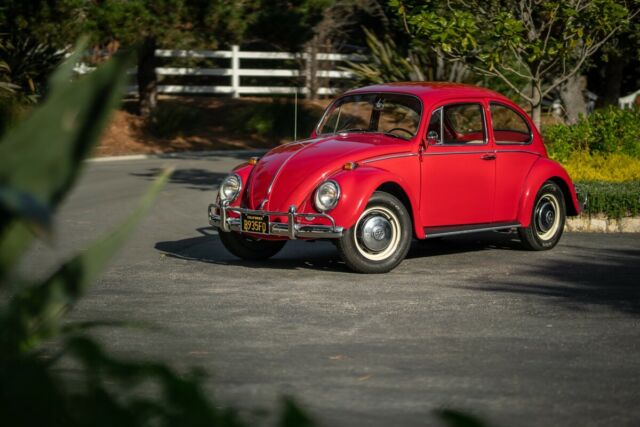 Volkswagen Beetle - Classic 1966 image number 17