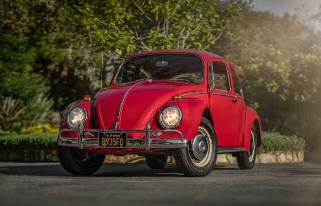 Volkswagen Beetle - Classic 1966 image number 18