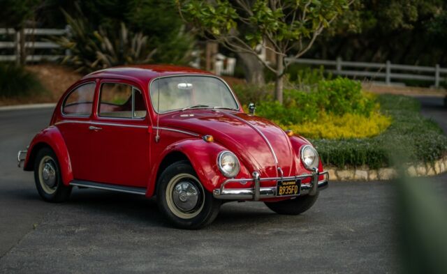 Volkswagen Beetle - Classic 1966 image number 2