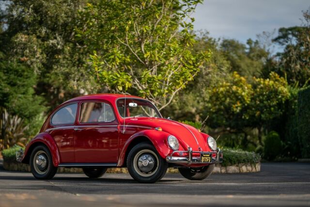 Volkswagen Beetle - Classic 1966 image number 27