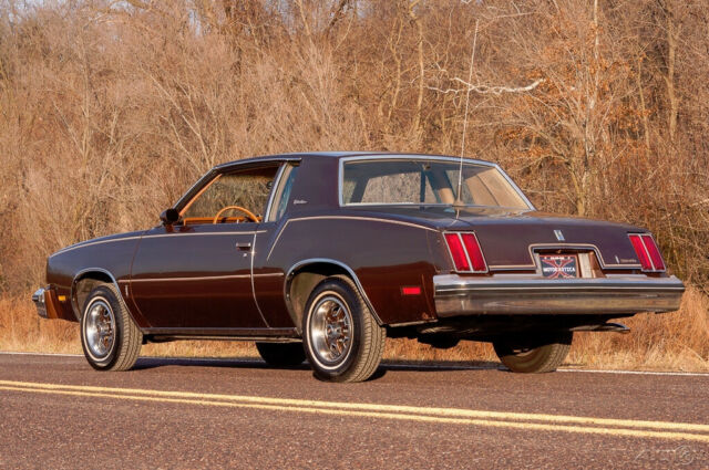 Oldsmobile Cutlass 1979 image number 10