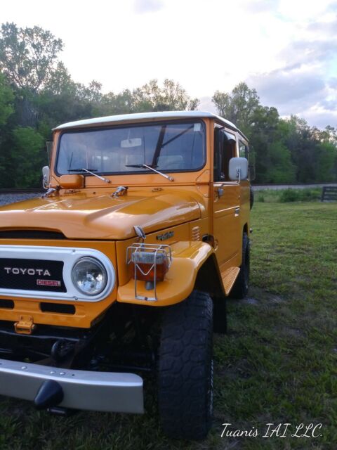 Toyota Land Cruiser 1979 image number 12