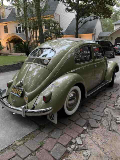 Volkswagen Oval ragtop 1956 image number 22