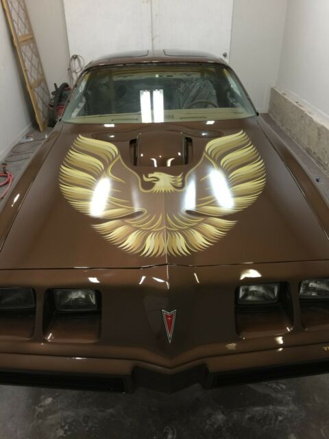 Pontiac Trans Am 1979 image number 14